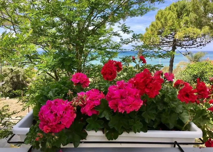 Maris 4* أغروبولي